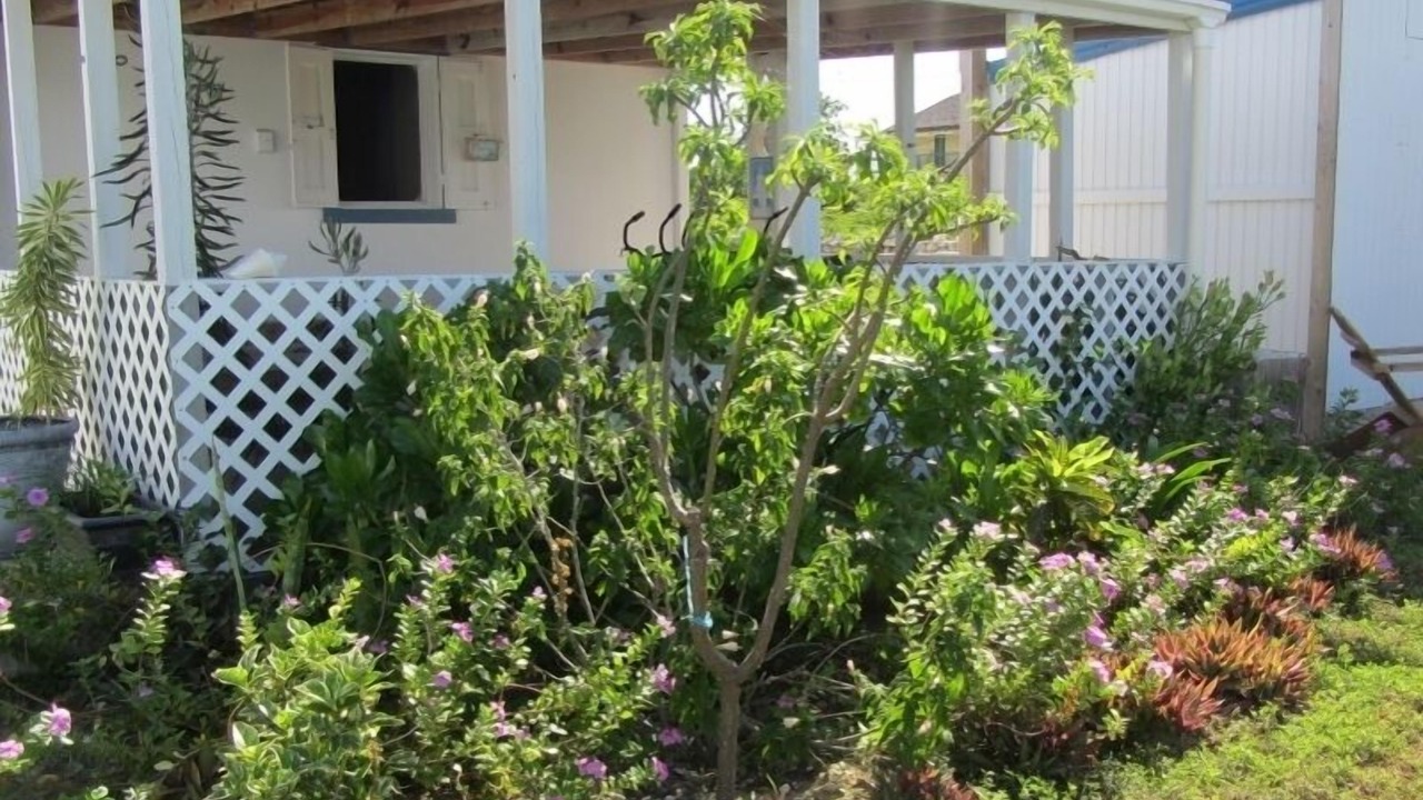 Photo of Outdoor in Balfour Town