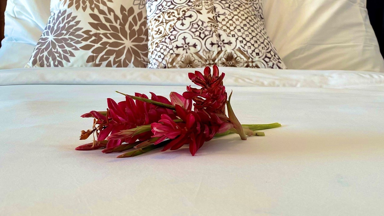Photo of Bedroom in The Bight