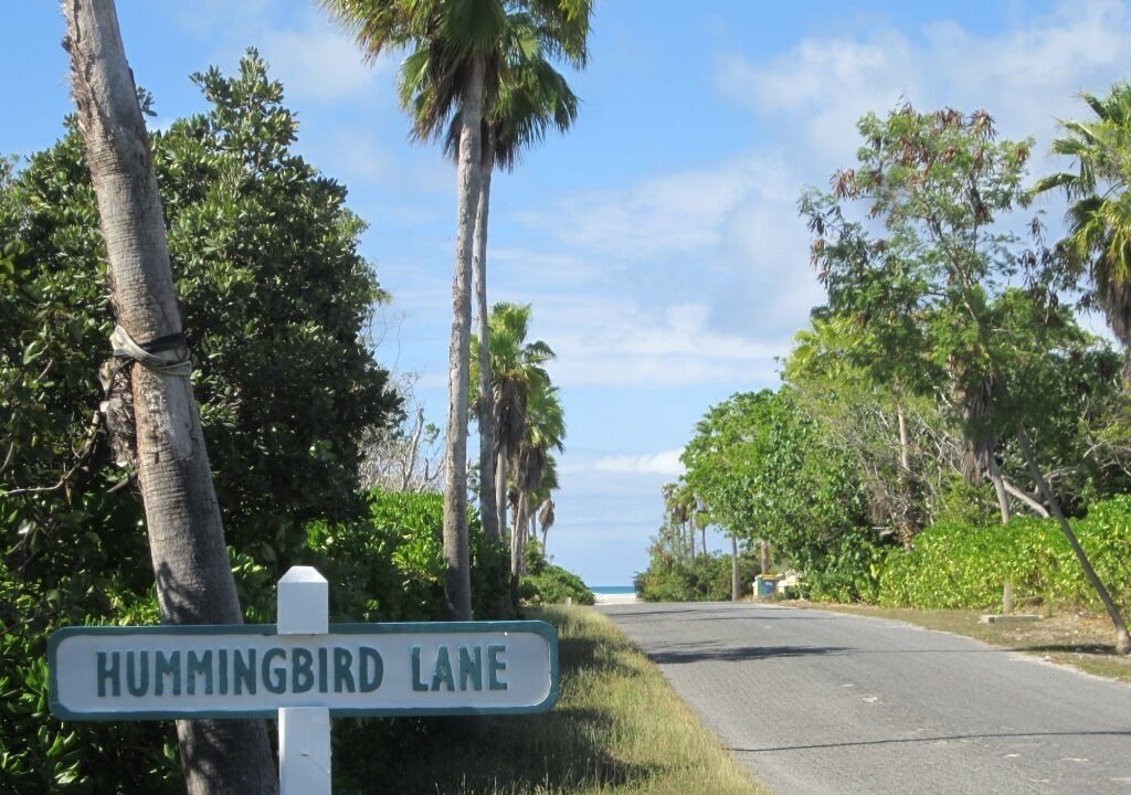 Photo of Others in Leeward Settlement