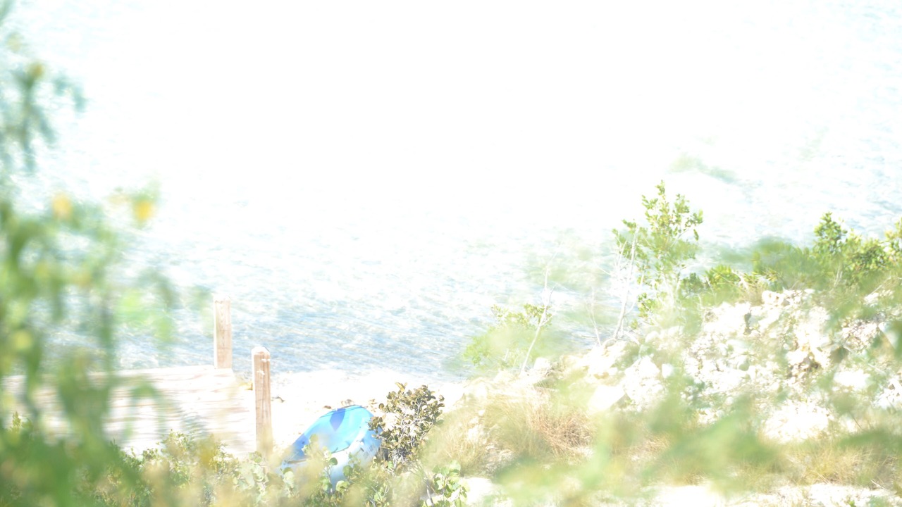Photo of Others in Ocean Point