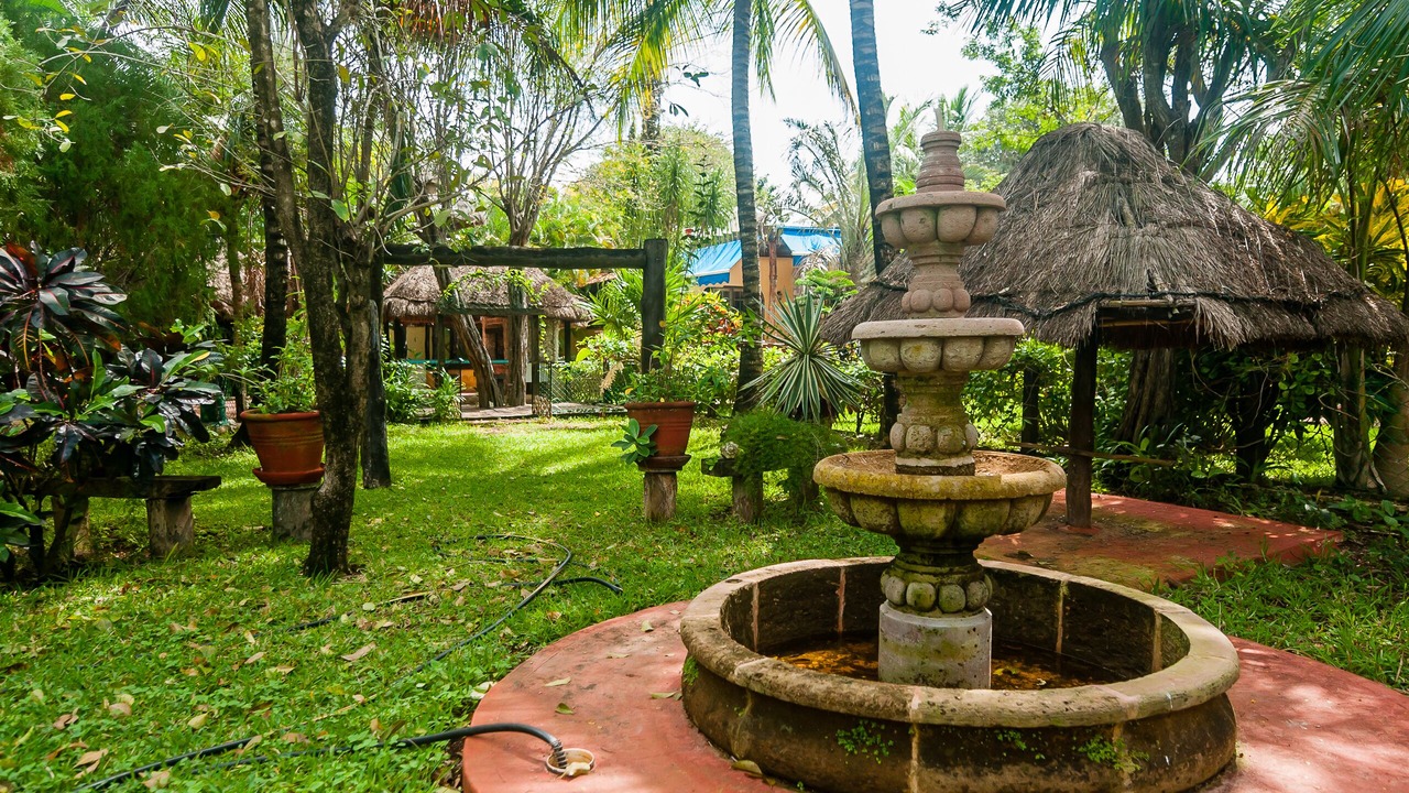 Photo of Outdoor in Alfredo V. Bonfil