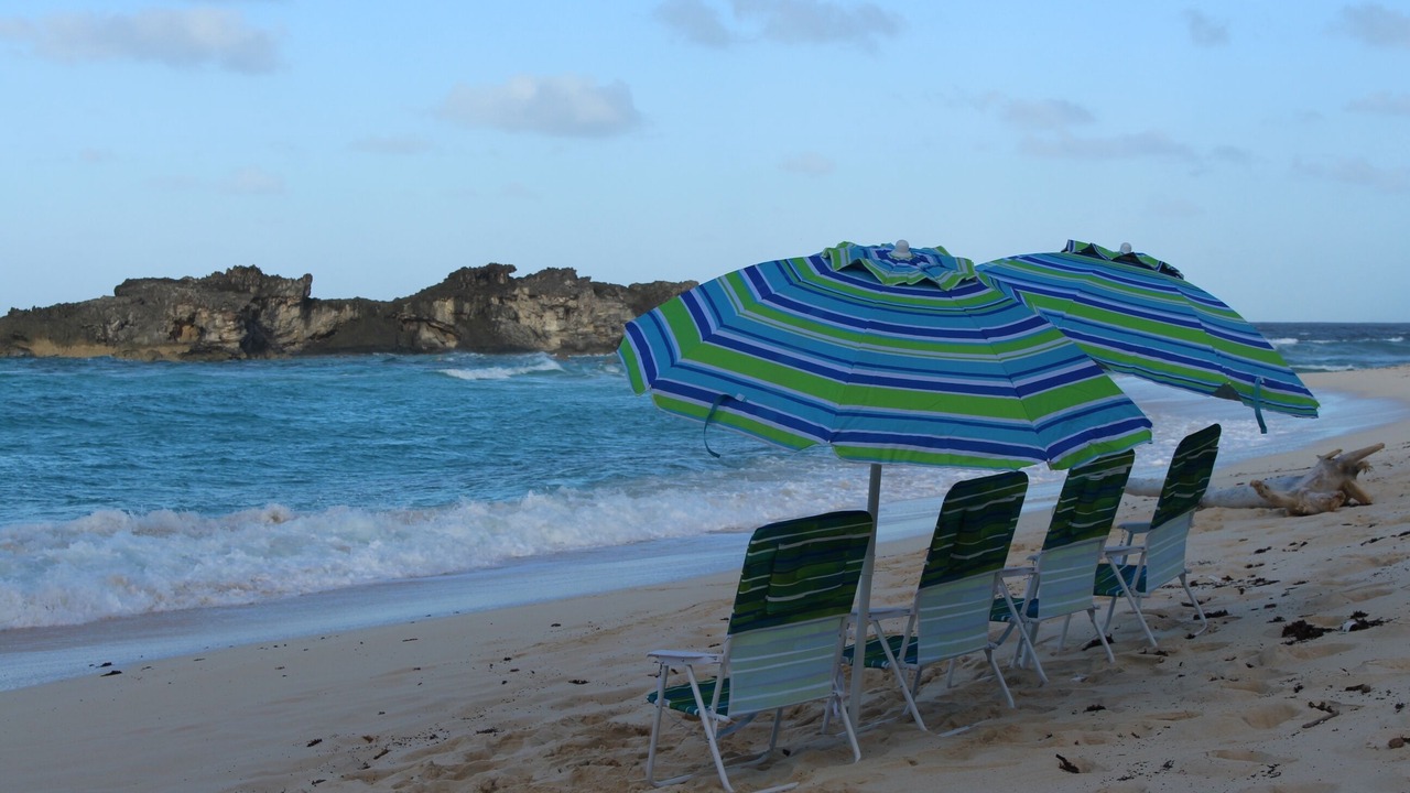 Photo of Others in Conch Bar