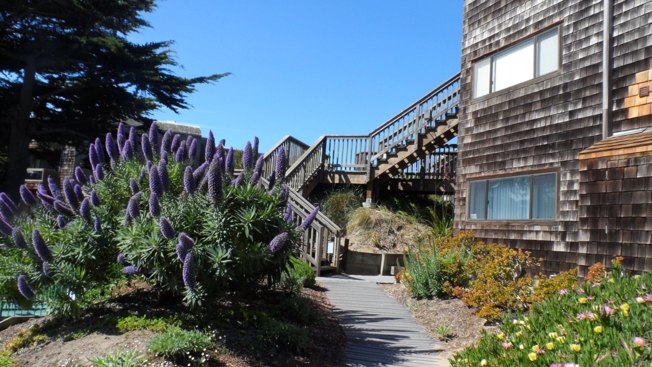 Photo of Others in Pajaro Dunes