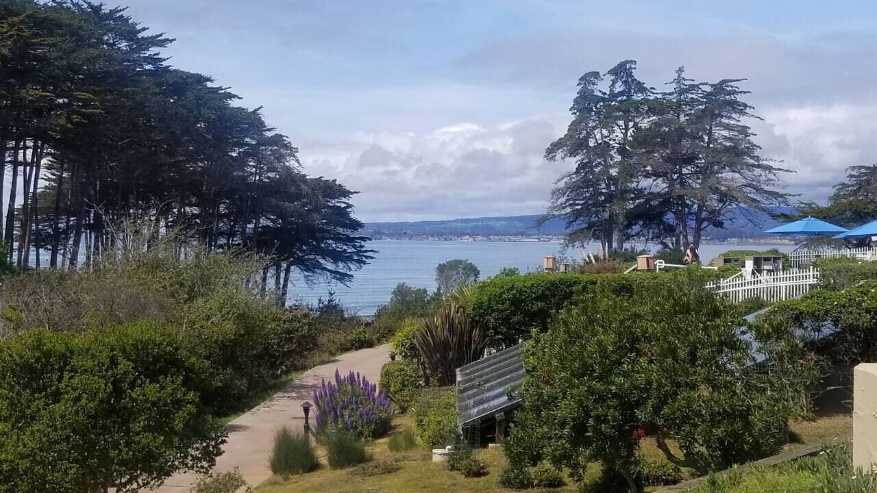 Photo of Outdoor in Rio del Mar