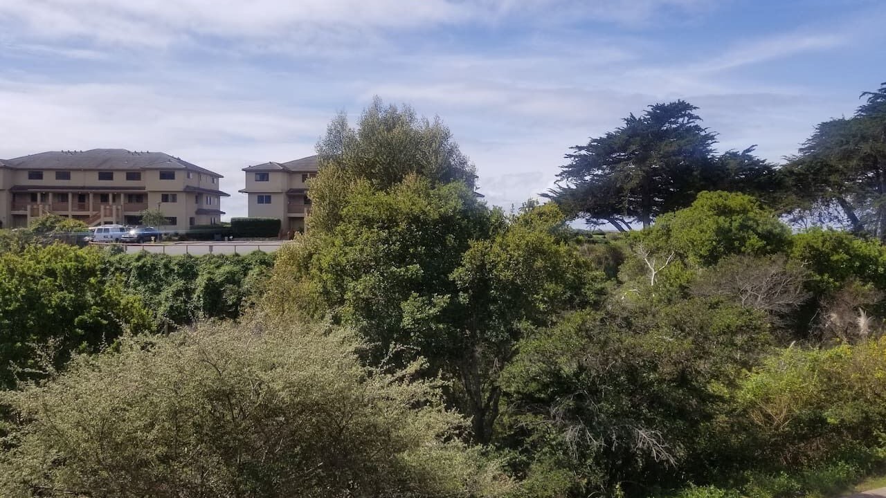 Photo of Outdoor in Rio del Mar