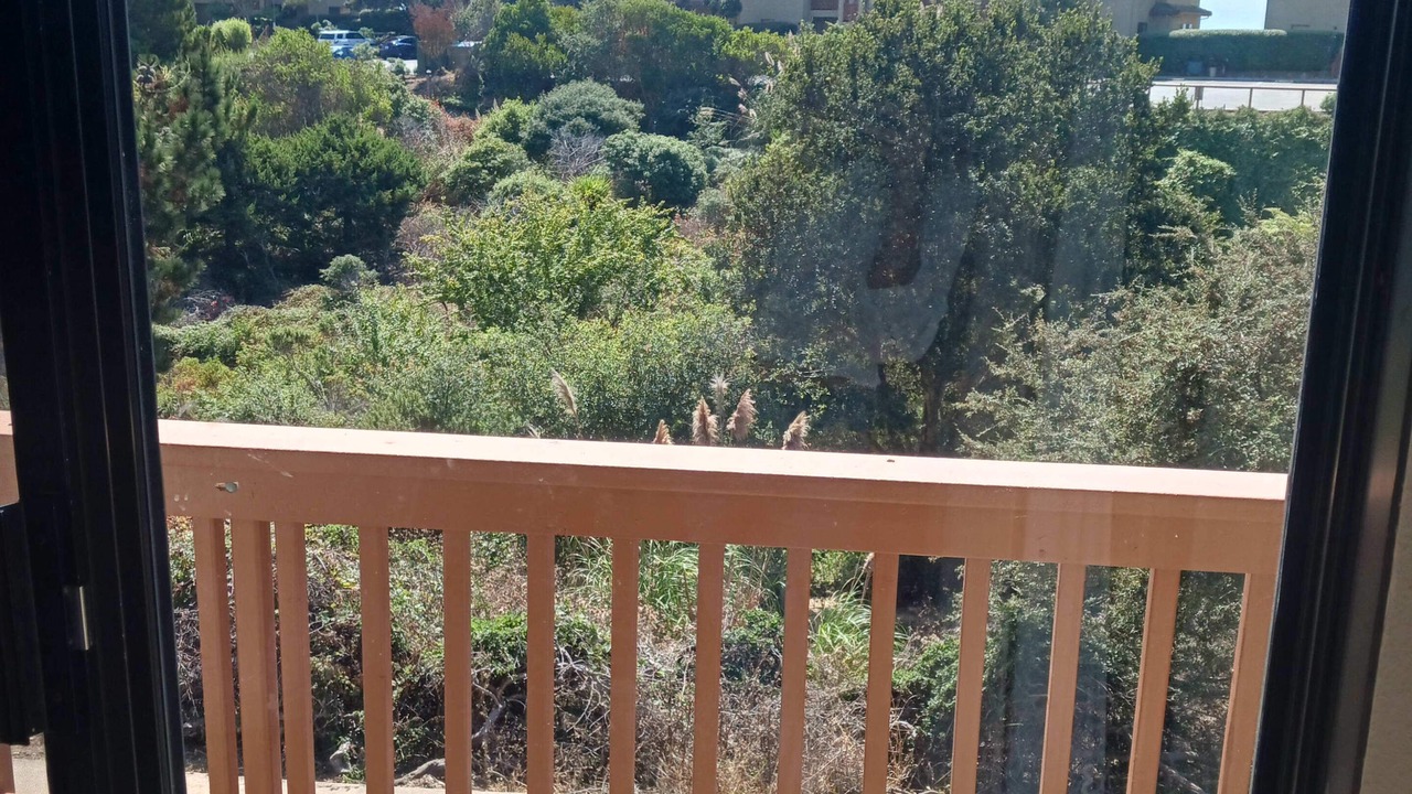 Photo of Others in Rio del Mar