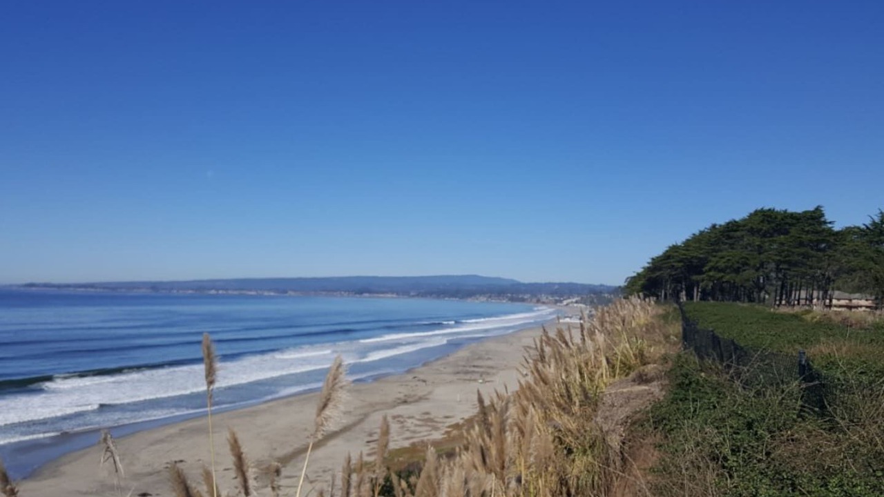 Photo of Others in Rio del Mar