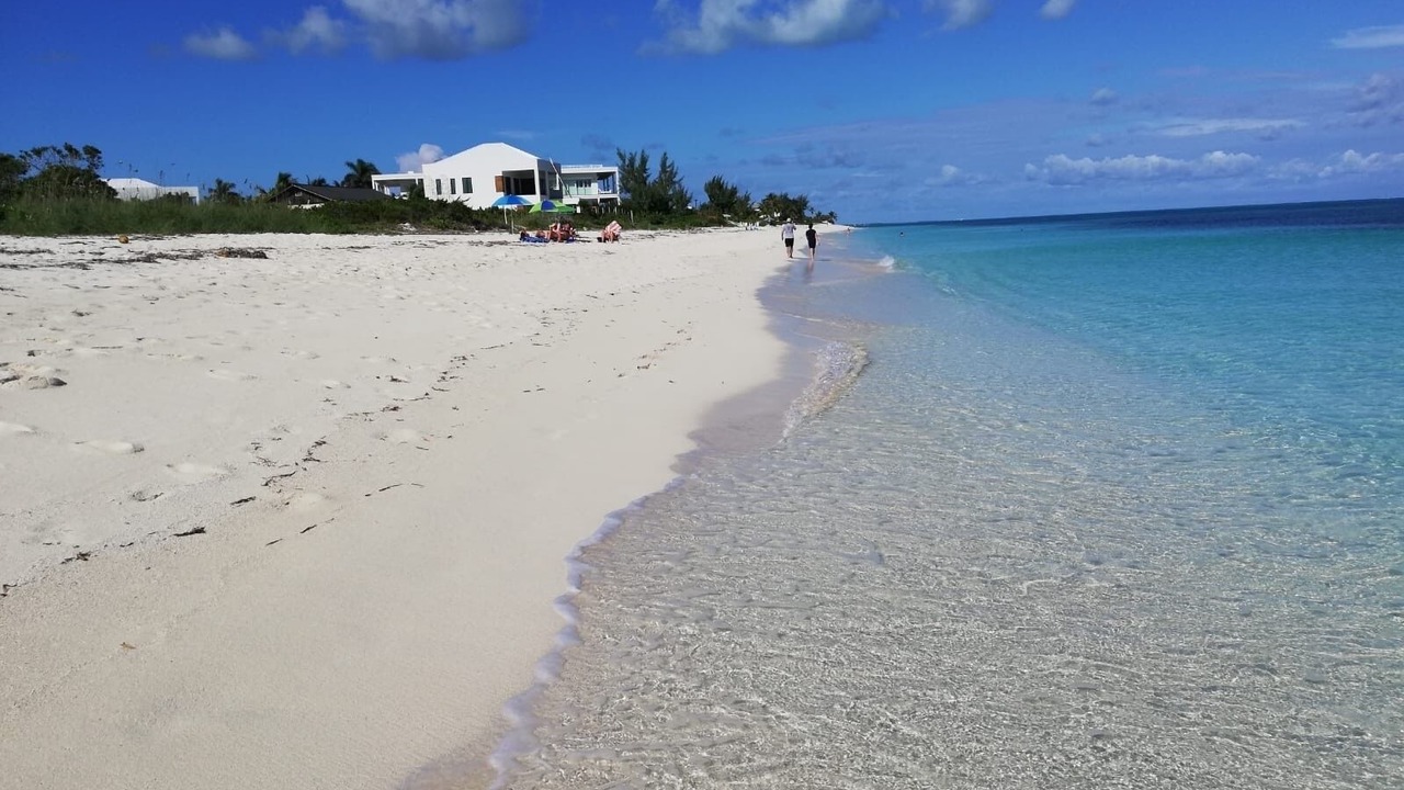 Photo of Others in The Bight