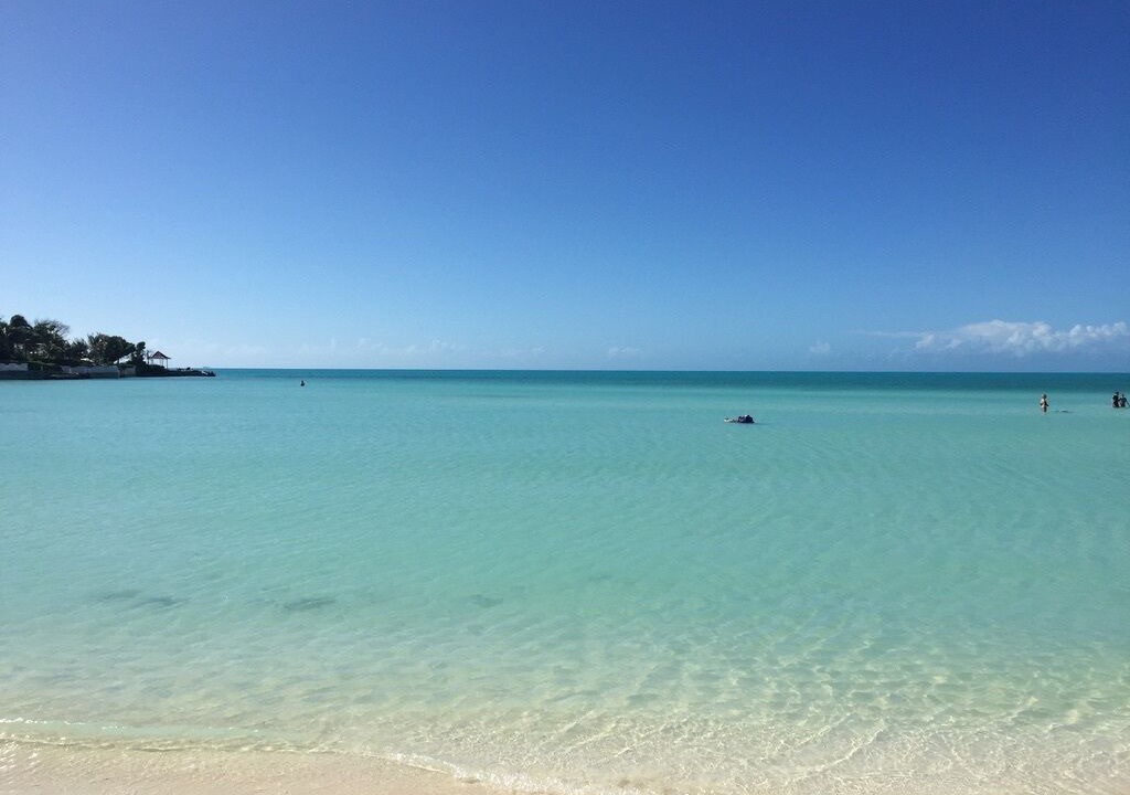 Photo of Others in The Bight