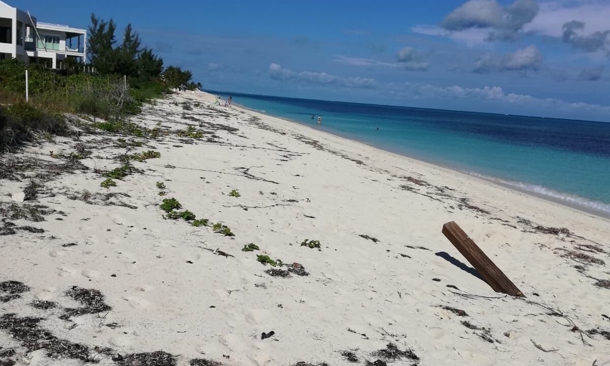 Photo of Others in The Bight
