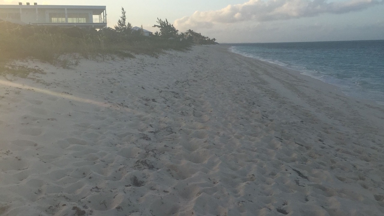 Photo of Others in The Bight