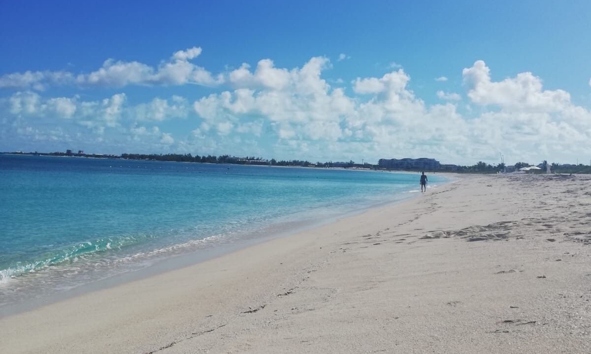 Photo of Others in The Bight