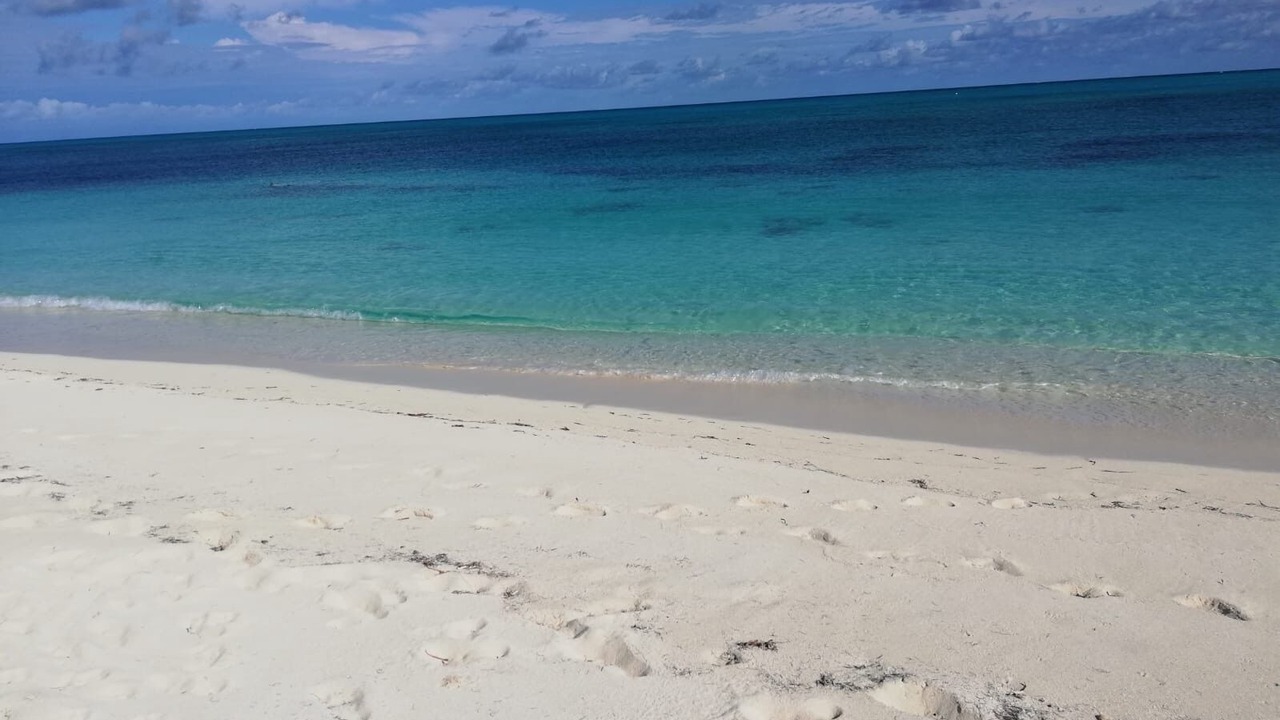 Photo of Others in The Bight