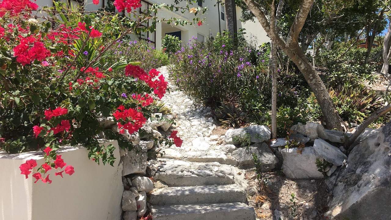 Photo of Outdoor in Providenciales