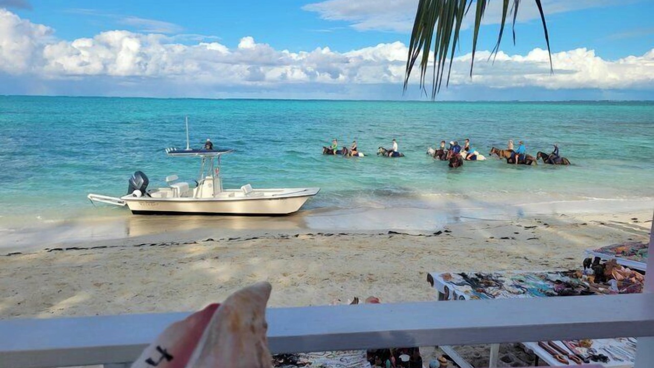 Photo of Others in Providenciales