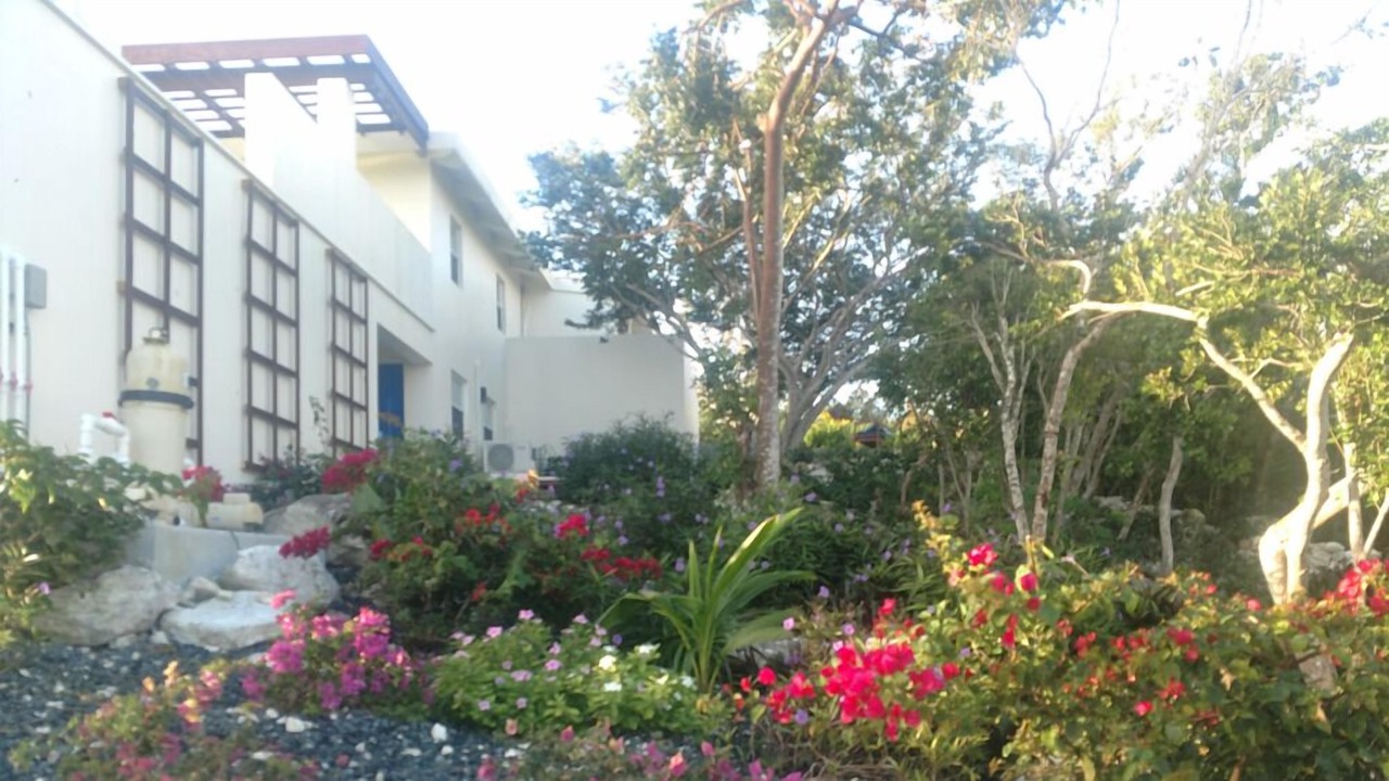 Photo of Outdoor in Providenciales