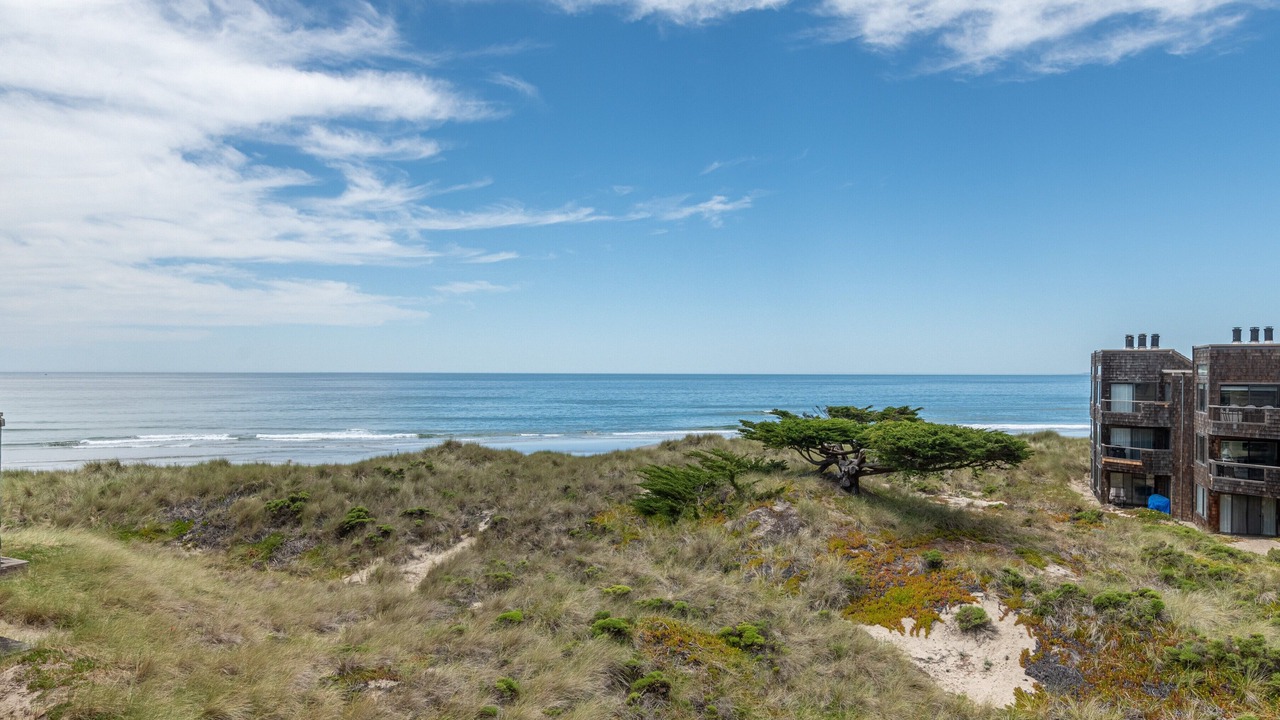 Photo of Others in Pajaro Dunes