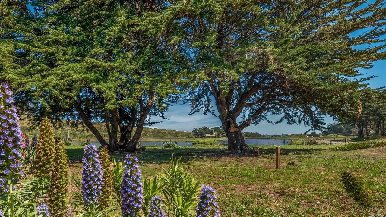 Photo of Outdoor in Pajaro Dunes