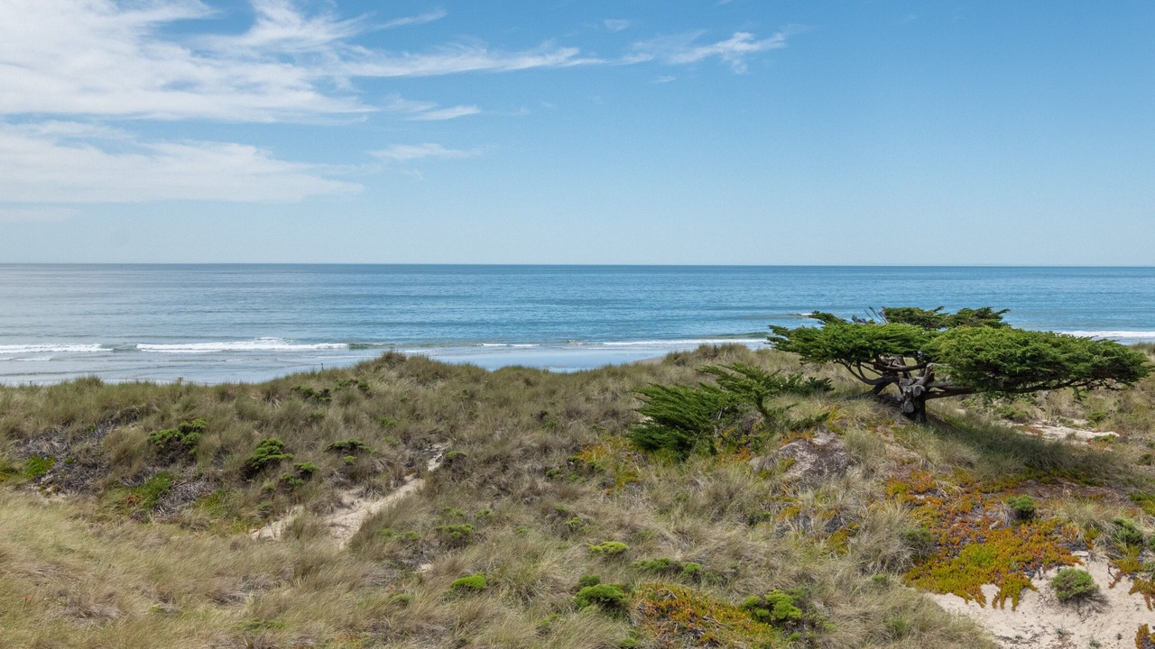 Photo of Others in Pajaro Dunes