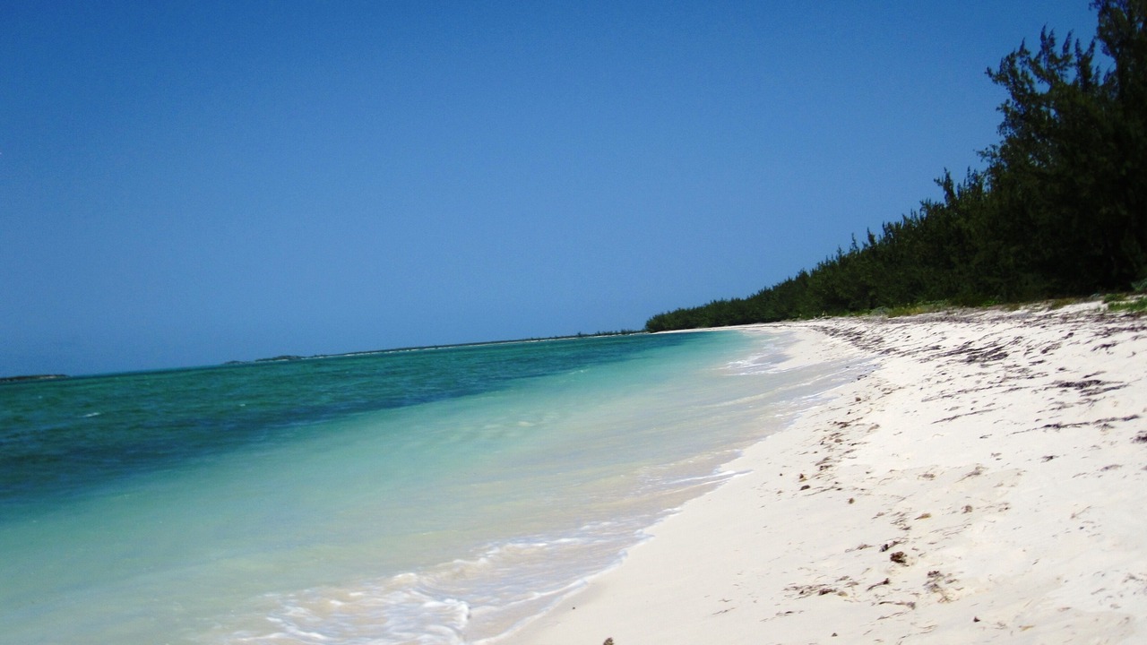 Photo of Others in Bambarra