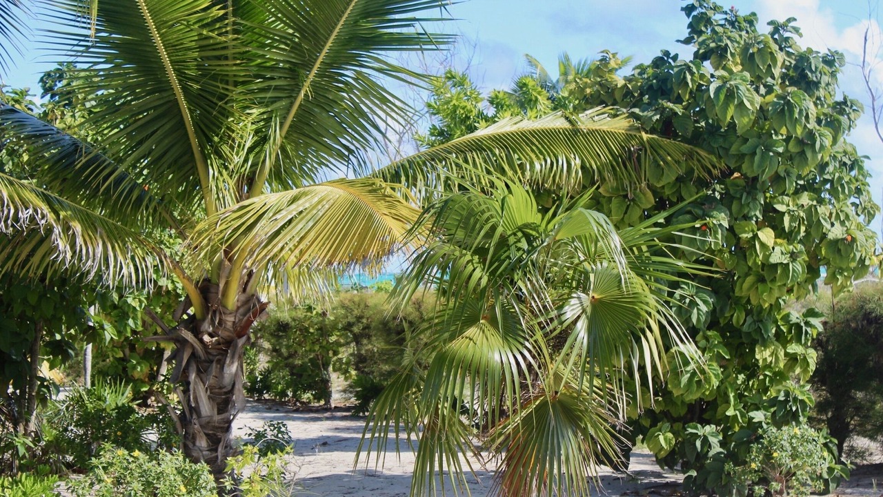 Photo of Outdoor in Bambarra
