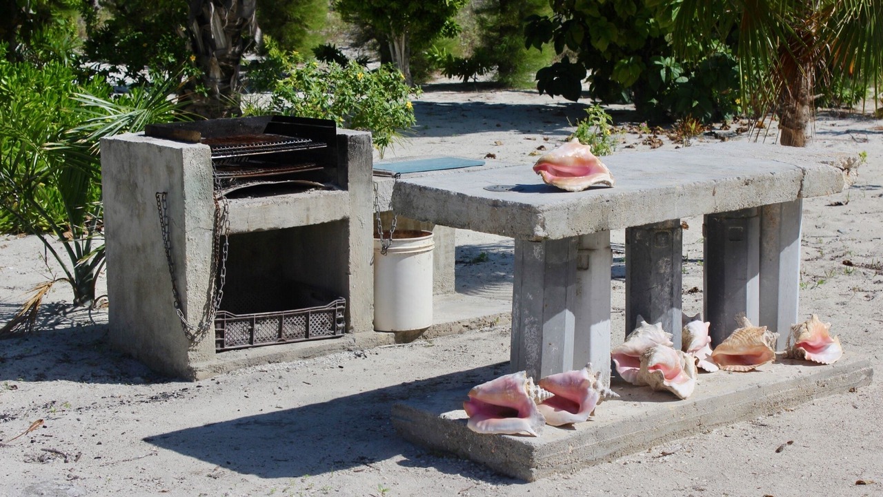 Photo of Outdoor in Bambarra