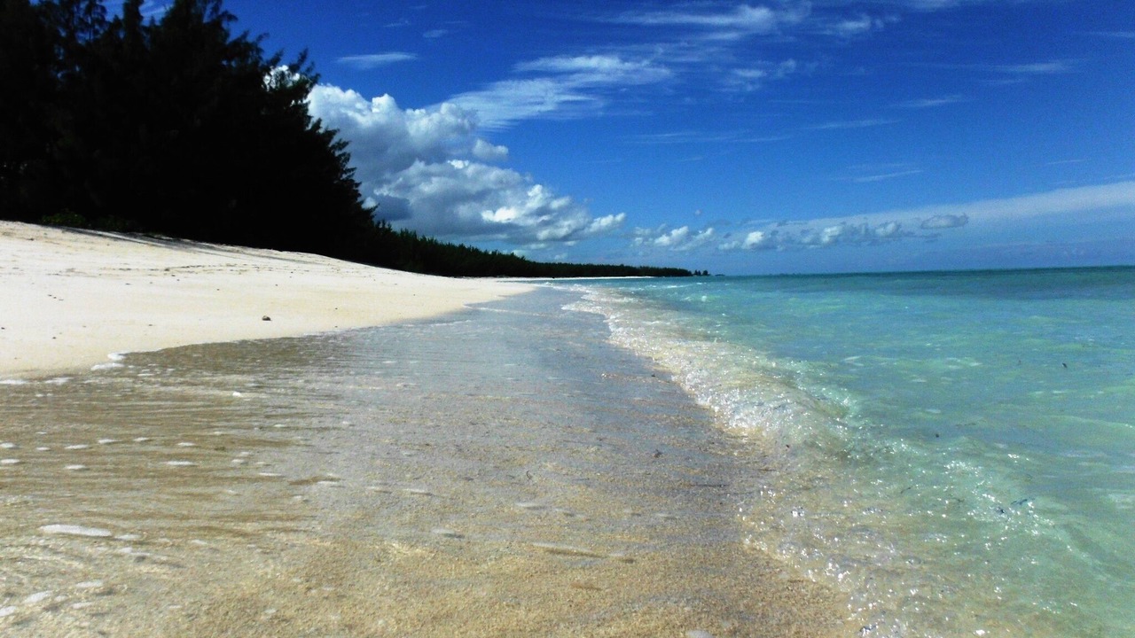 Photo of Others in Bambarra