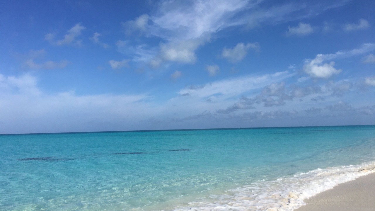 Photo of Others in Leeward Settlement