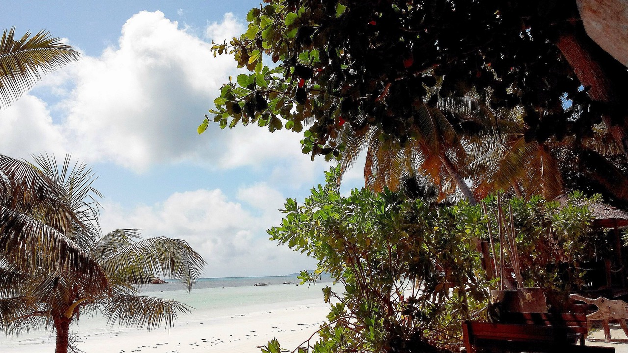 Photo of Others in La Digue