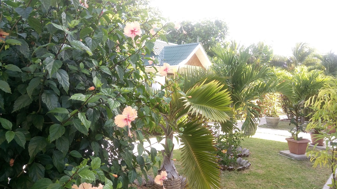Photo of Outdoor in La Digue
