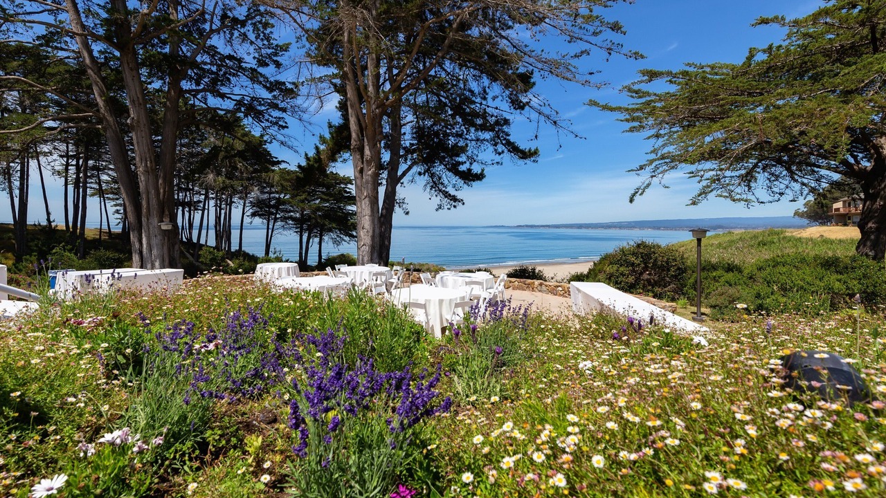 Photo of Others in Rio del Mar