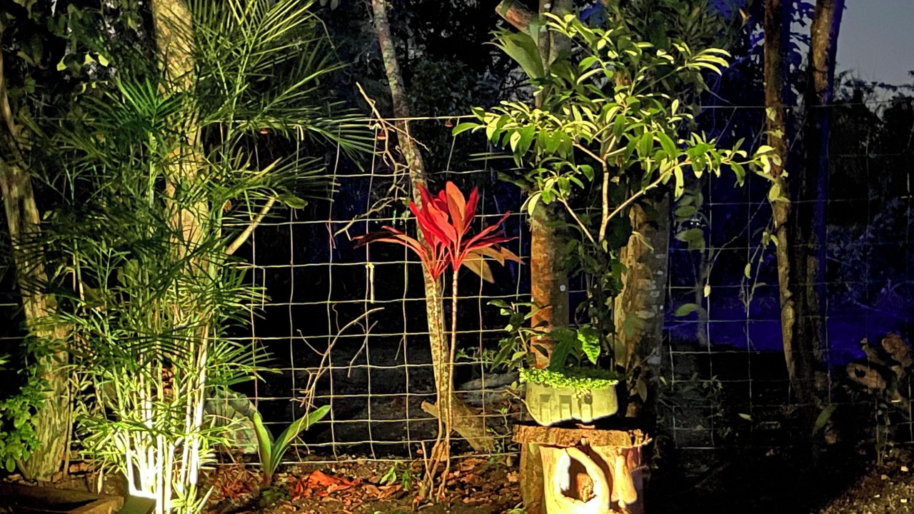 Photo of Outdoor in Solferino