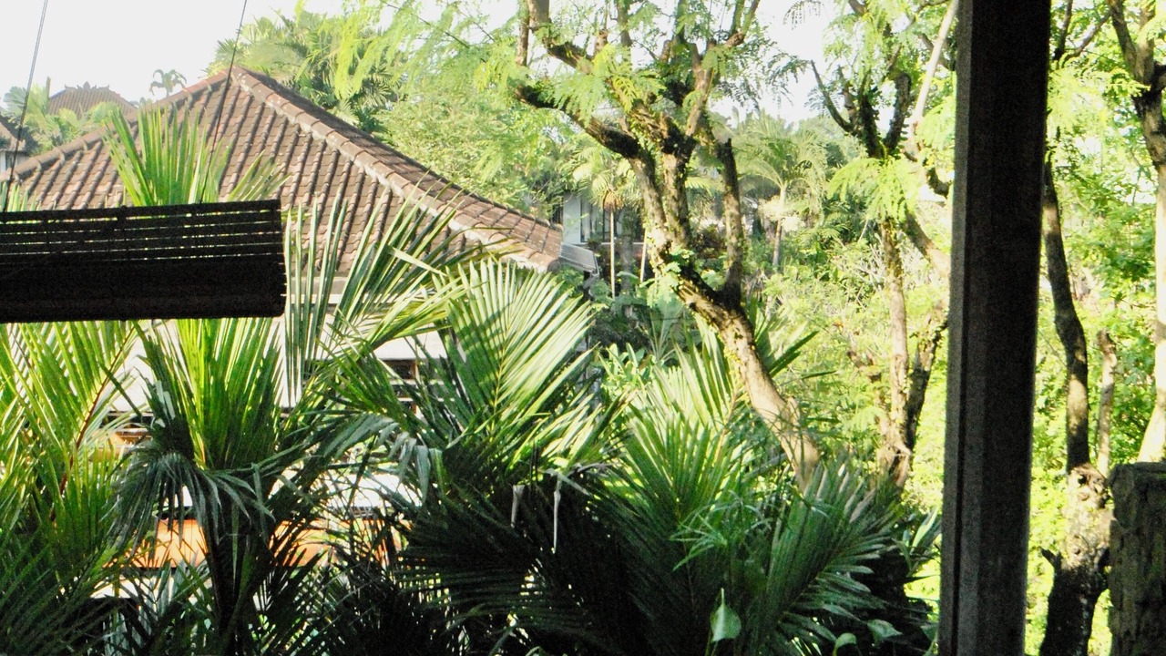 Photo of Outdoor in Penestanan