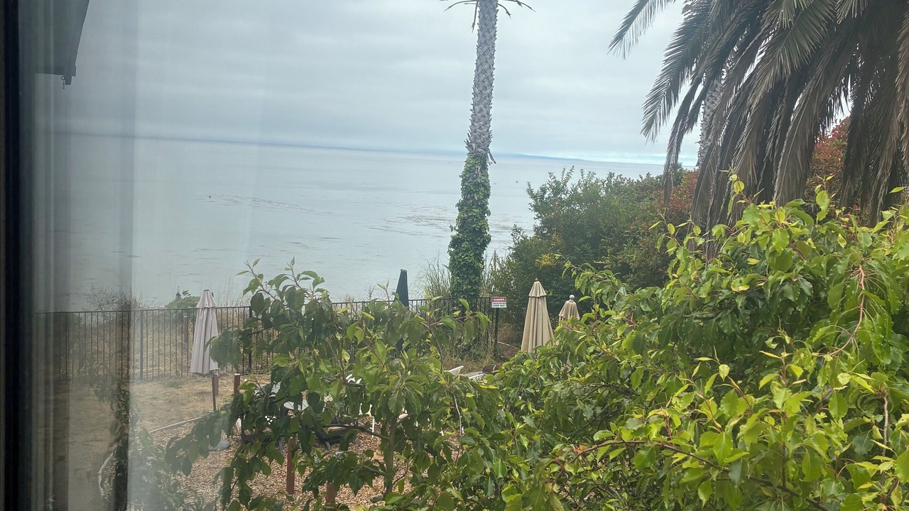 Photo of Others in Capitola