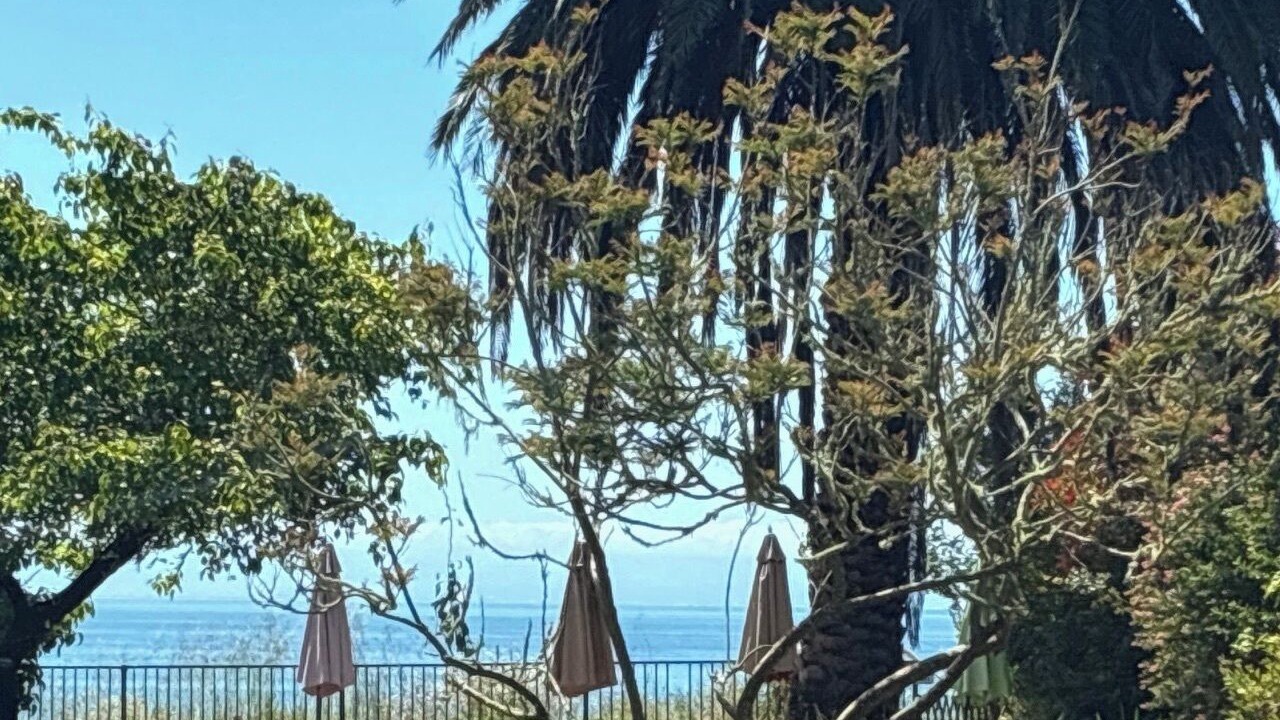Photo of Others in Capitola