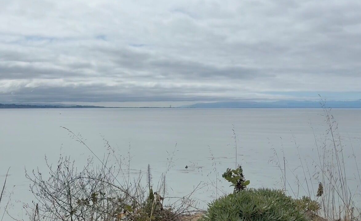 Photo of Others in Capitola
