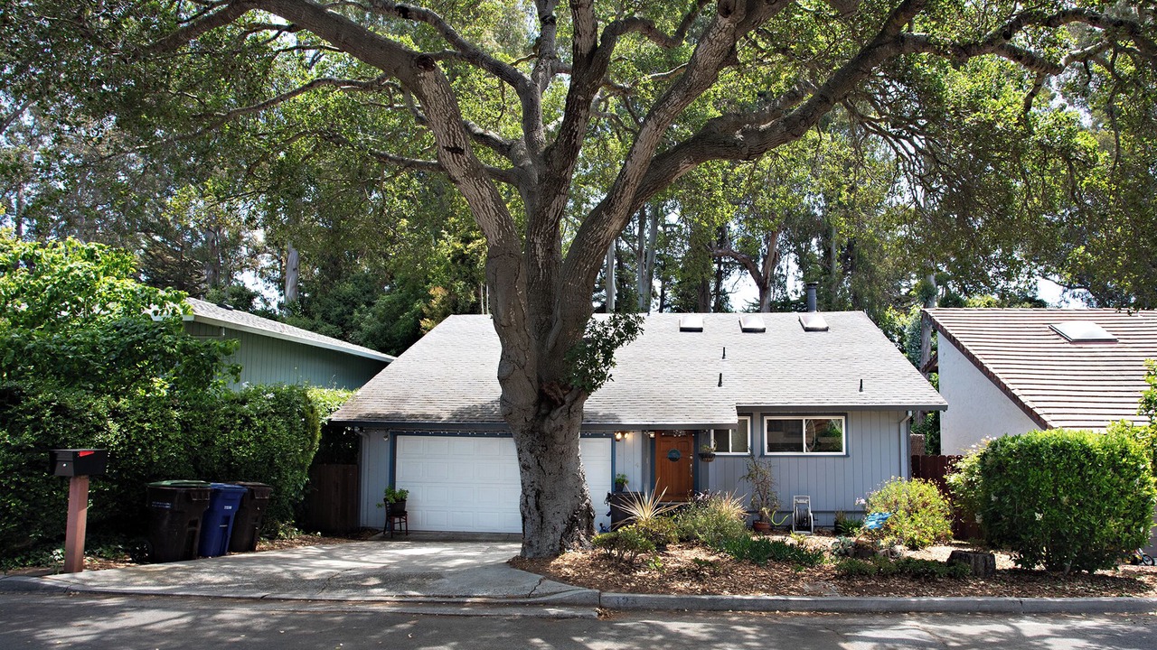 Photo of Outdoor in Eastside Santa Cruz