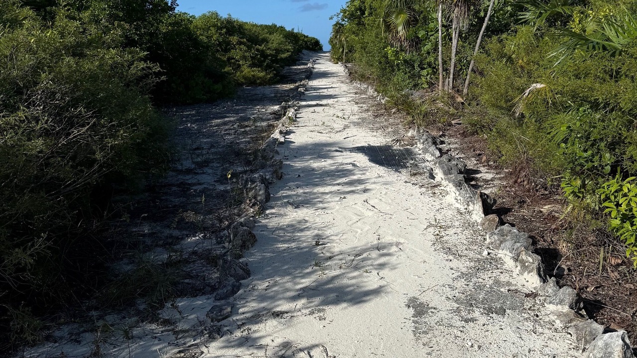 Photo of Others in Sandy Point