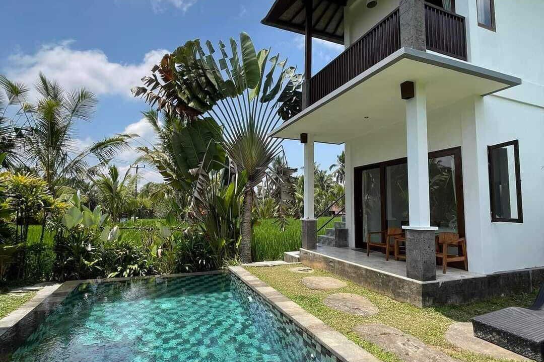 Photo of Outdoor in Tegallalang