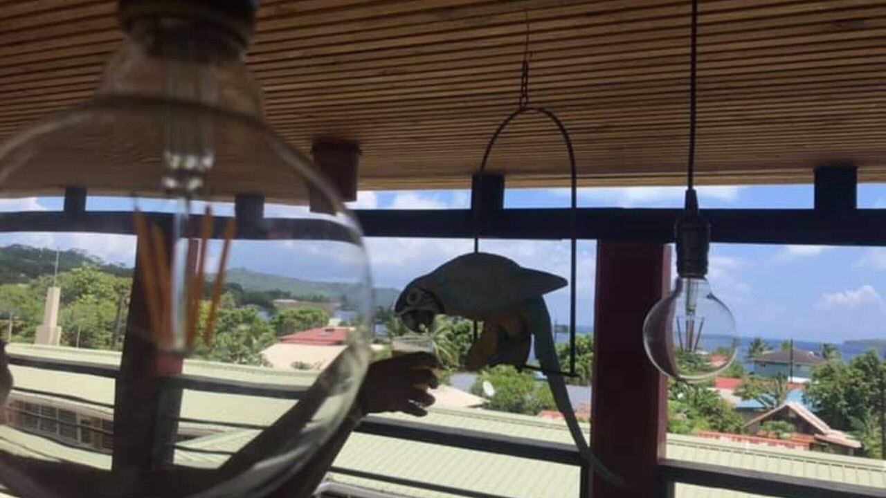 Photo of Outdoor in Vaitape