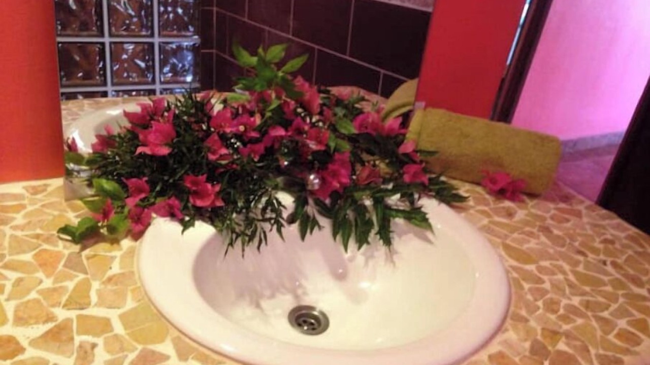 Photo of Bathroom in Teahupoo