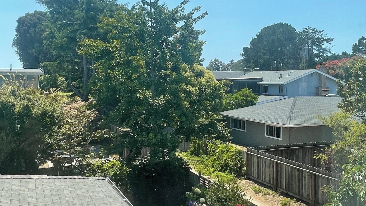 Photo of Outdoor in Westside Santa Cruz