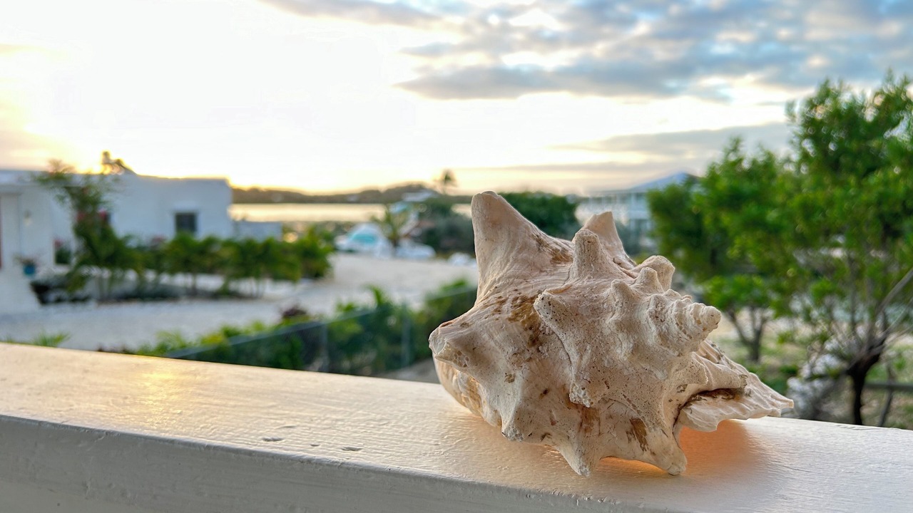 Photo of Outdoor in Discovery Bay