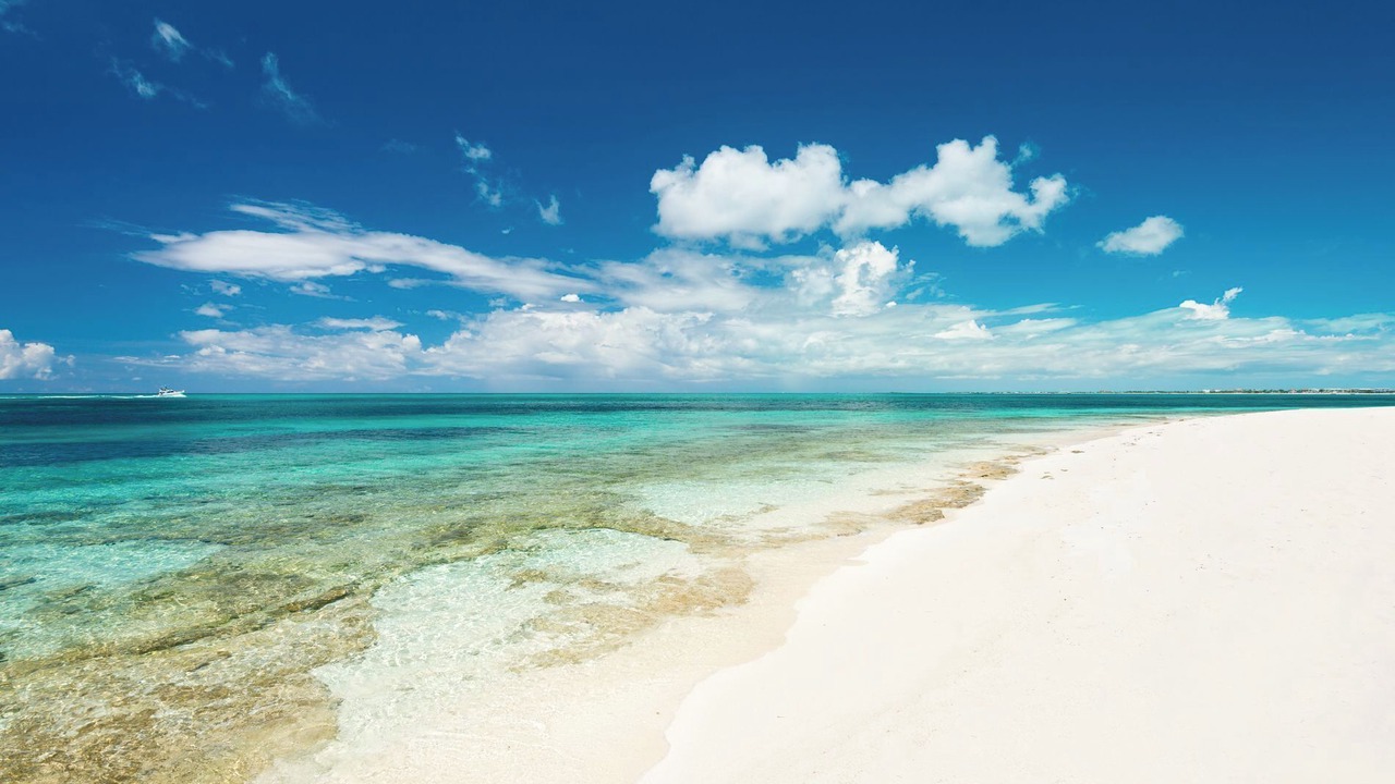 Photo of Others in The Bight