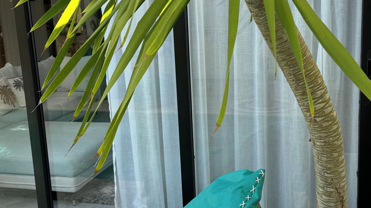 Photo of Outdoor in Denpasar