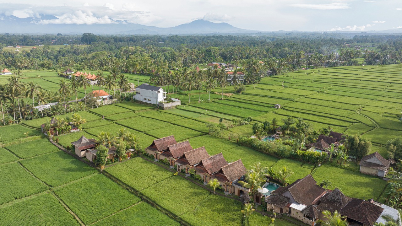 Photo of Outdoor in Tegallalang