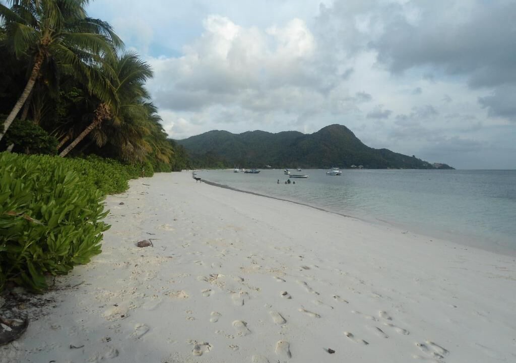 Photo of Others in Grand Anse