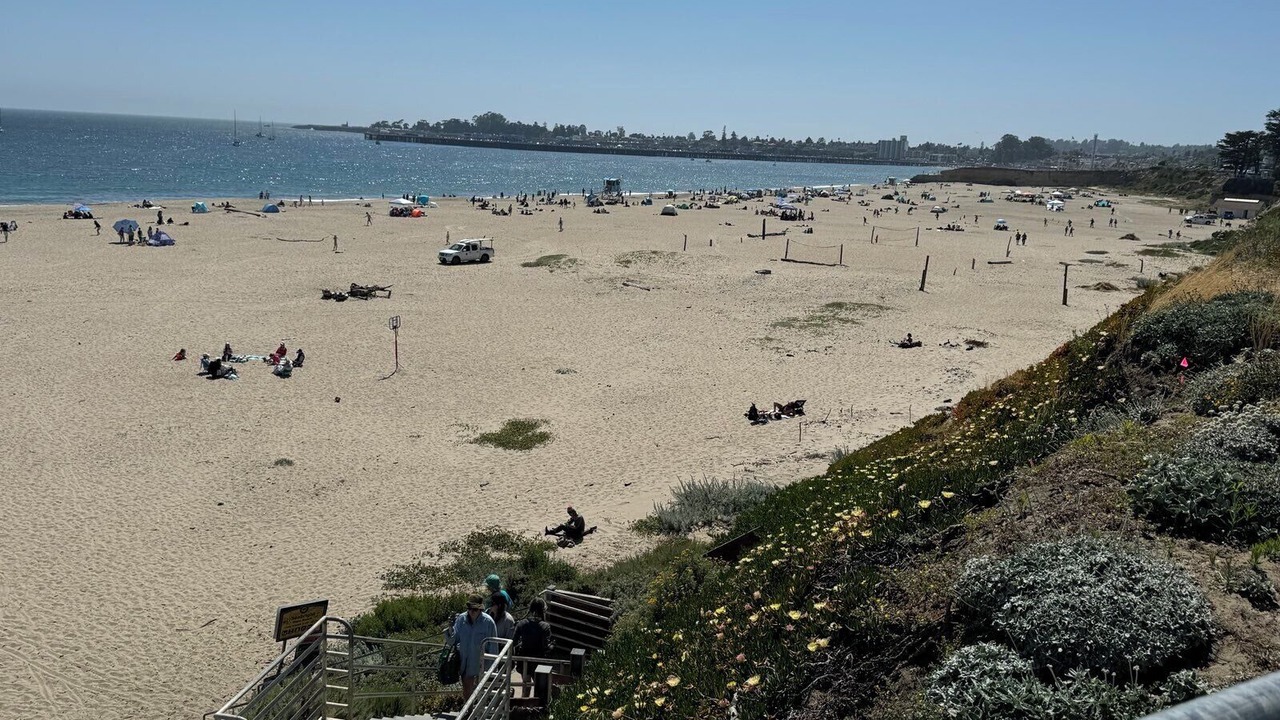 Photo of Others in Seabright