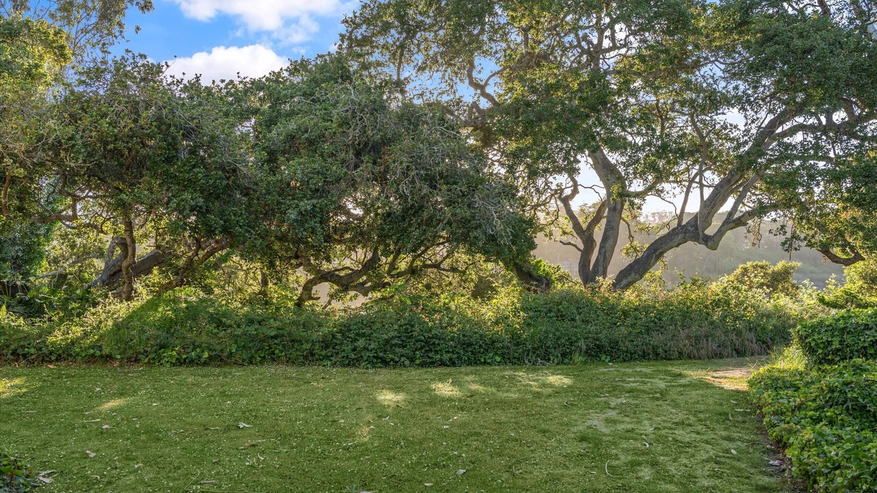 Photo of Outdoor in Eastside Santa Cruz