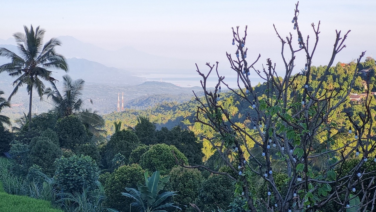 Photo of Outdoor in Munduk